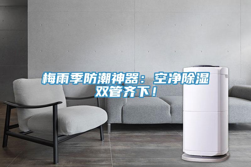 梅雨季防潮神器：空淨除濕雙管齊下！