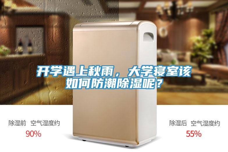 開學遇上秋雨，大學寢室該如何防潮除濕呢？