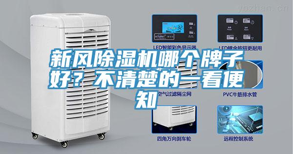 新風小黄片软件免费下载哪個牌子好？不清楚的一看便知