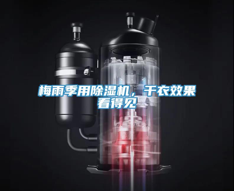梅雨季用小黄片软件免费下载，幹衣效果看得見