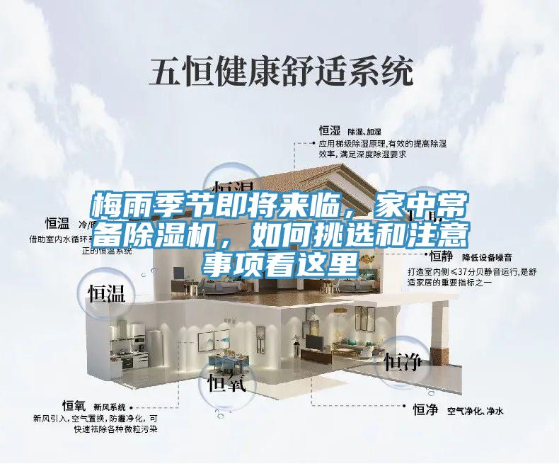 梅雨季節即將來臨，家中常備小黄片软件免费下载，如何挑選和注意事項看這裏