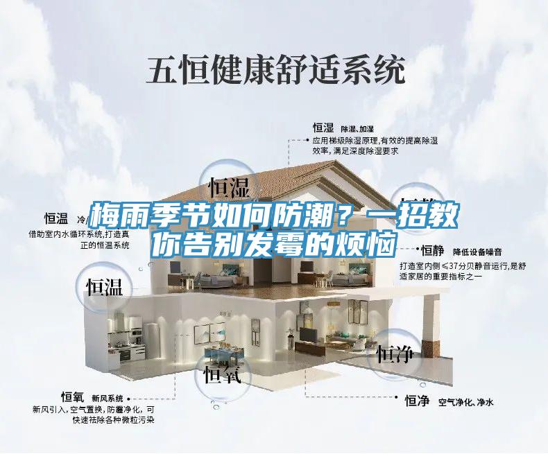 梅雨季節如何防潮？一招教你告別發黴的煩惱
