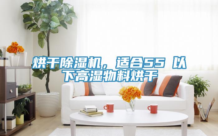 烘幹小黄片软件免费下载，適合55℃以下高濕物料烘幹