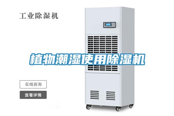 植物潮濕使用小黄片软件免费下载