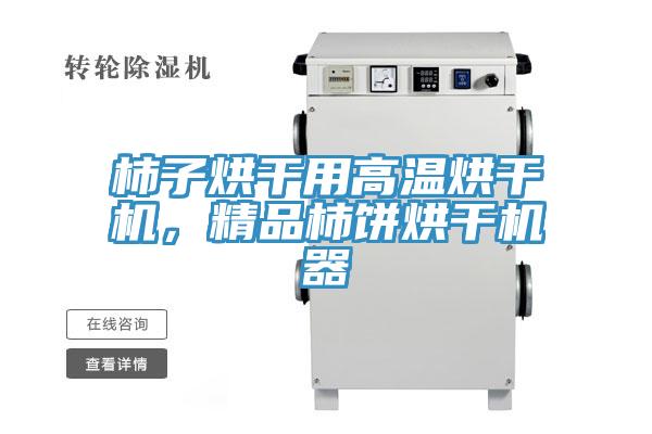 柿子烘幹用高溫烘幹機，精品柿餅烘幹機器
