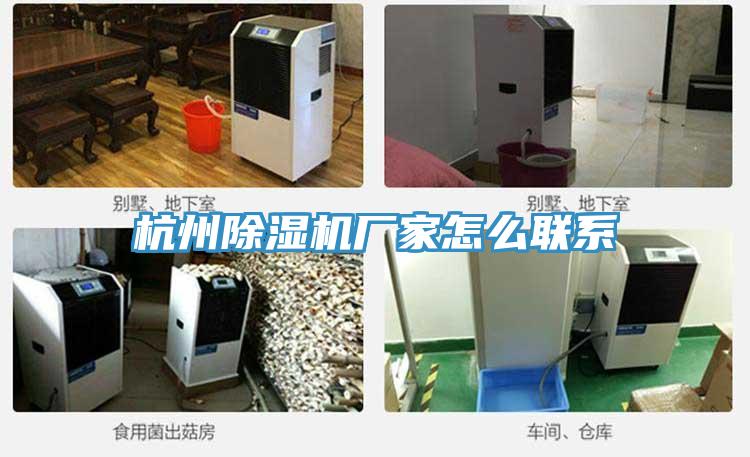 杭州小黄片软件免费下载廠家怎麽聯係