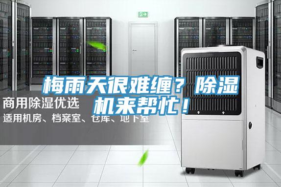 梅雨天很難纏？小黄片软件免费下载來幫忙！