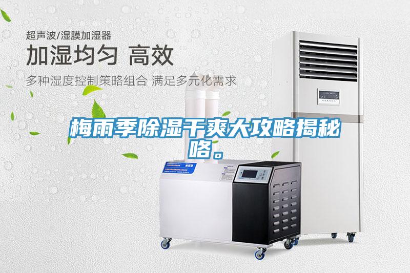梅雨季除濕幹爽大攻略揭秘咯。