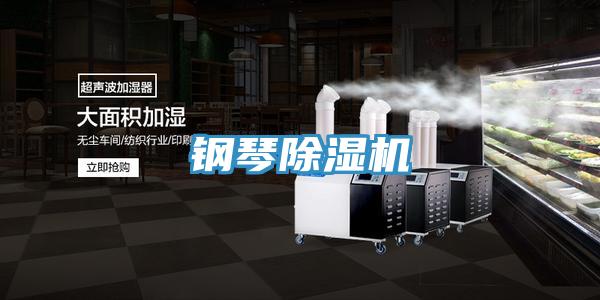 鋼琴小黄片软件免费下载