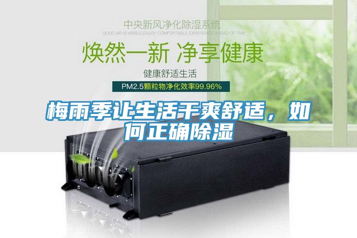 梅雨季讓生活幹爽舒適，如何正確除濕
