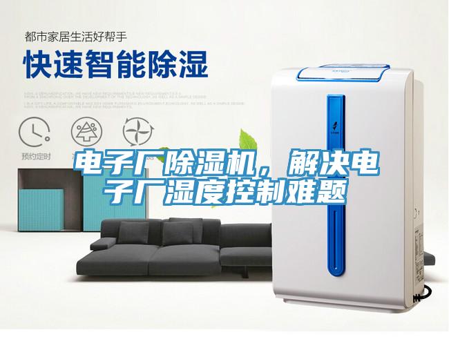 電子廠小黄片软件免费下载，解決電子廠濕度控製難題