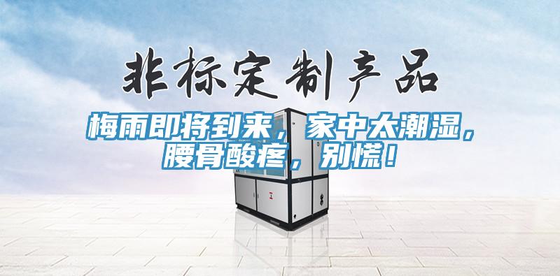 梅雨即將到來，家中太潮濕，腰骨酸疼，別慌！