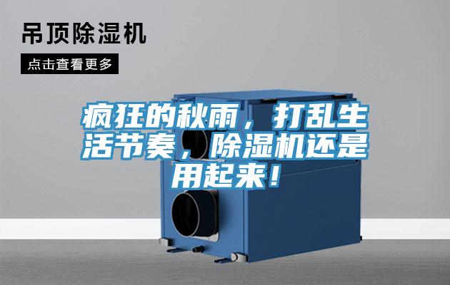 瘋狂的秋雨，打亂生活節奏，小黄片软件免费下载還是用起來！