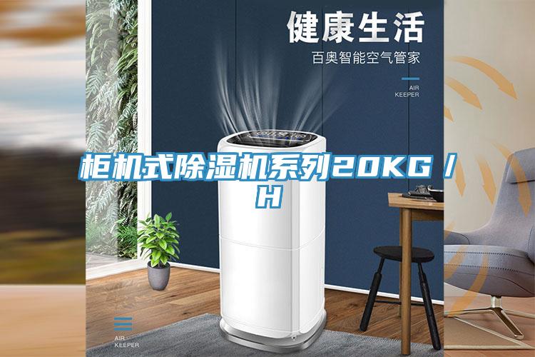 櫃機式小黄片软件免费下载係列20KG／H