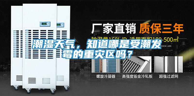 潮濕天氣，知道哪是受潮發黴的重災區嗎？
