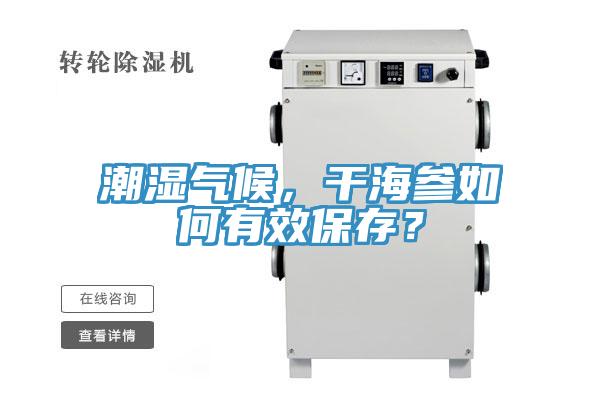 潮濕氣候，幹海參如何有效保存？