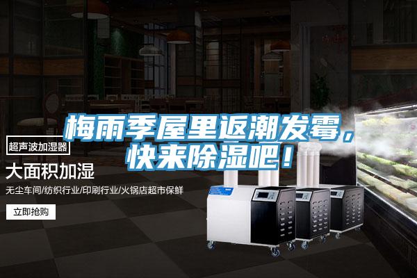 梅雨季屋裏返潮發黴，快來除濕吧！