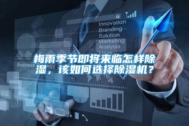 梅雨季節即將來臨怎樣除濕，該如何選擇小黄片软件免费下载？