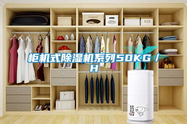 櫃機式小黄片软件免费下载係列50KG／H