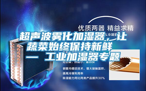 超聲波霧化加濕器，讓蔬菜始終保持新鮮 — 工業加濕器專題