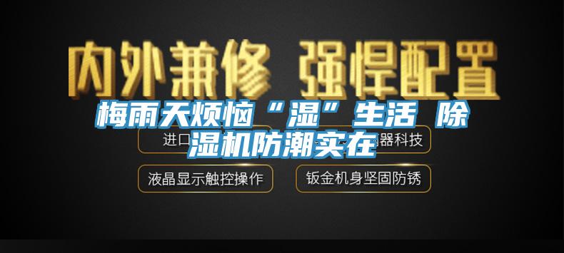 梅雨天煩惱“濕”生活 小黄片软件免费下载防潮實在