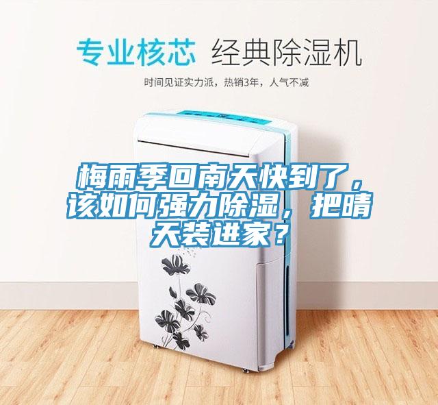 梅雨季回南天快到了，該如何強力除濕，把晴天裝進家？