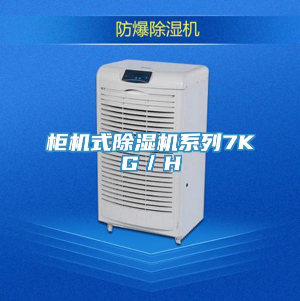 櫃機式小黄片软件免费下载係列7KG／H