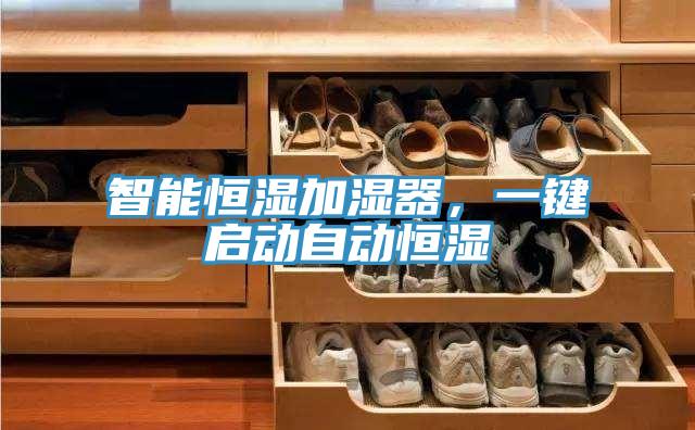 智能恒濕加濕器，一鍵啟動自動恒濕
