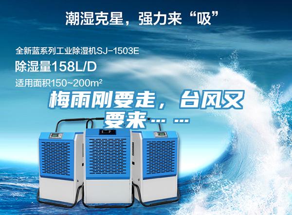 梅雨剛要走，台風又要來……