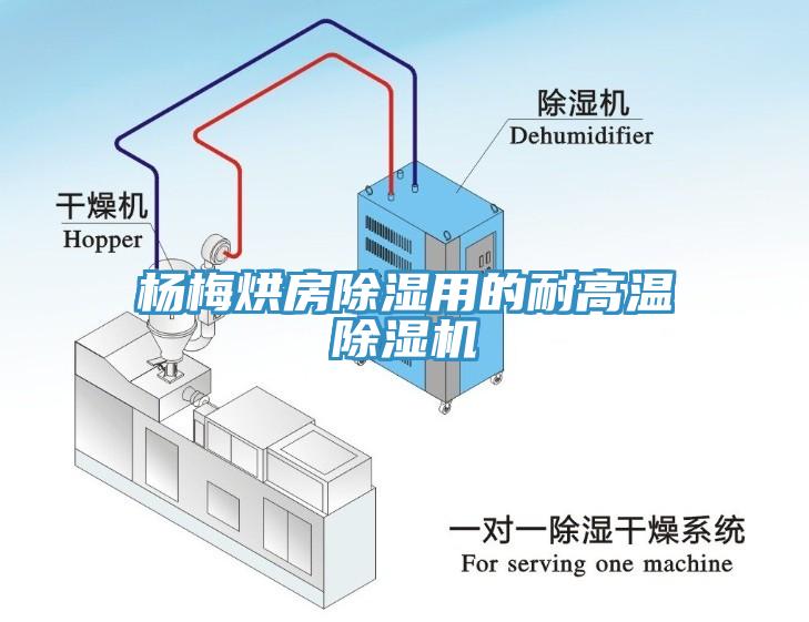 楊梅烘房除濕用的耐高溫小黄片软件免费下载