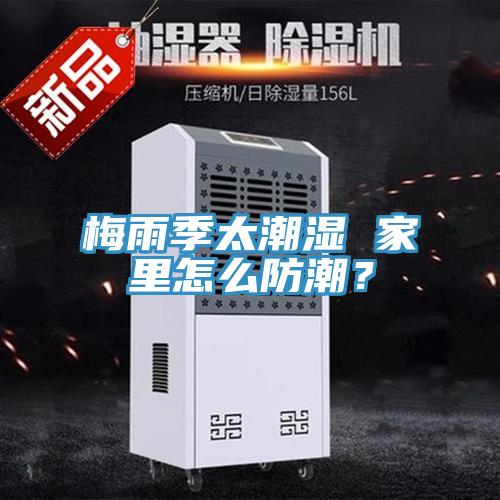 梅雨季太潮濕 家裏怎麽防潮？