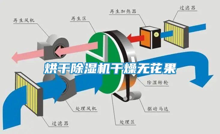 烘幹小黄片软件免费下载幹燥無花果