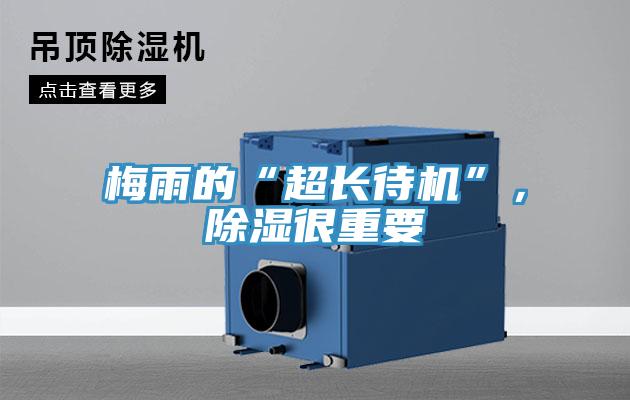 梅雨的“超長待機”，除濕很重要