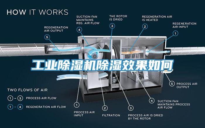 工業小黄片软件免费下载除濕效果如何