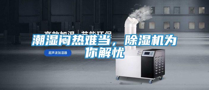 潮濕悶熱難當，小黄片软件免费下载為你解憂