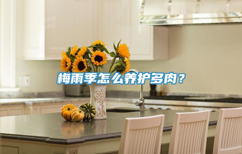 梅雨季怎麽養護多肉？