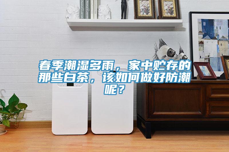 春季潮濕多雨，家中貯存的那些白茶，該如何做好防潮呢？