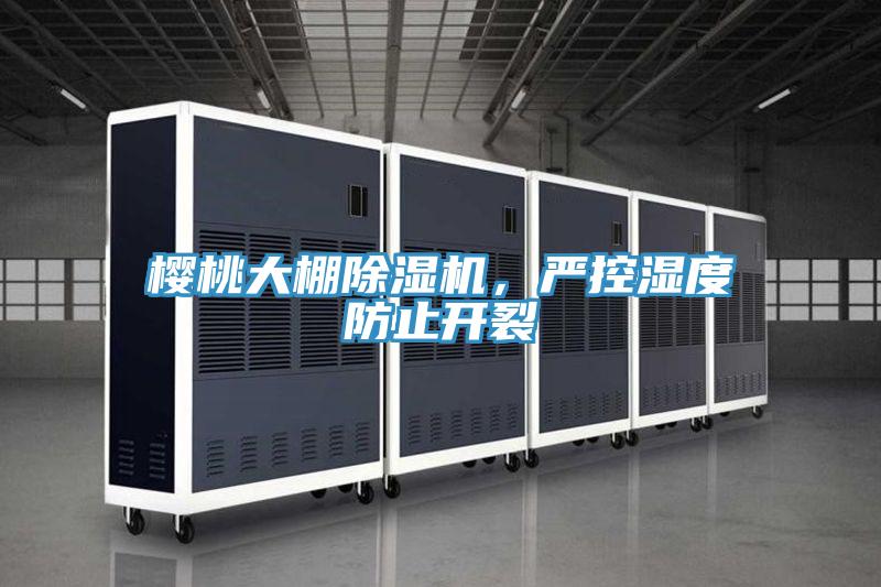 櫻桃大棚小黄片软件免费下载，嚴控濕度防止開裂