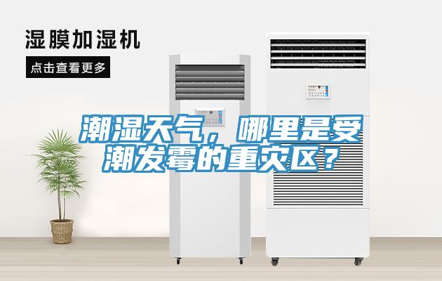 潮濕天氣，哪裏是受潮發黴的重災區？