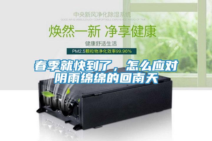 春季就快到了，怎麽應對陰雨綿綿的回南天