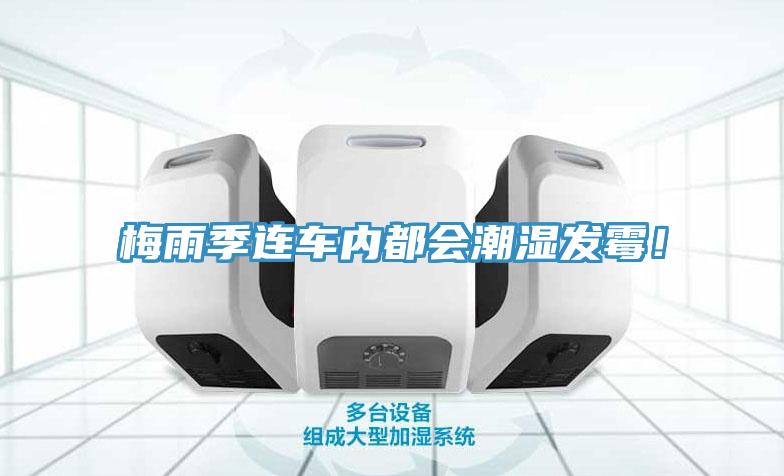 梅雨季連車內都會潮濕發黴！