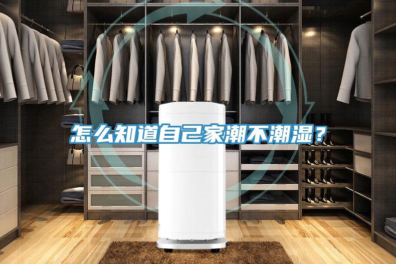 怎麽知道自己家潮不潮濕？