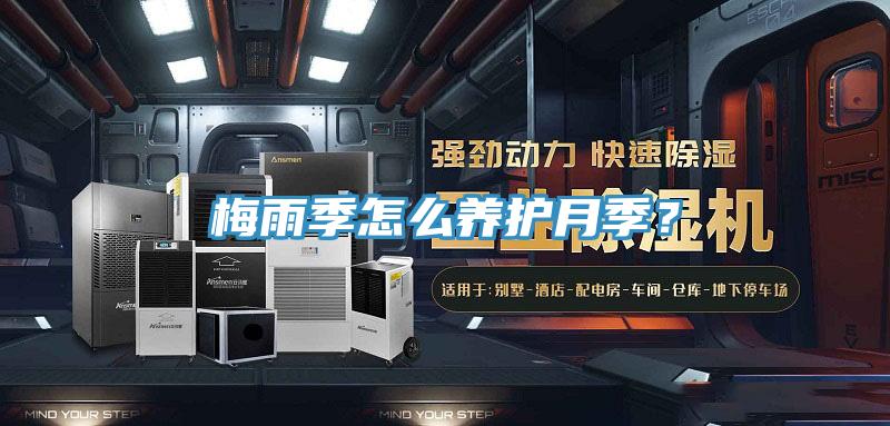 梅雨季怎麽養護月季？