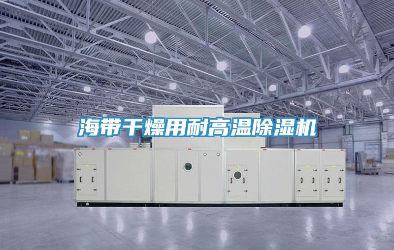 海帶幹燥用耐高溫小黄片软件免费下载