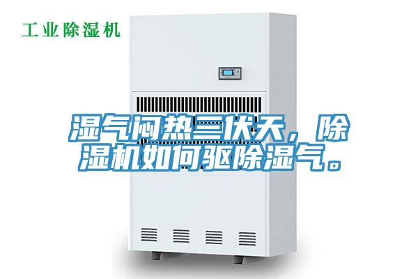 濕氣悶熱三伏天，小黄片软件免费下载如何驅除濕氣。