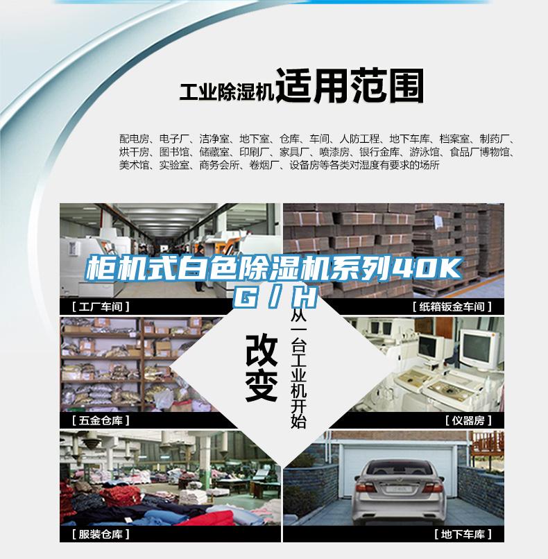 櫃機式白色小黄片软件免费下载係列40KG／H