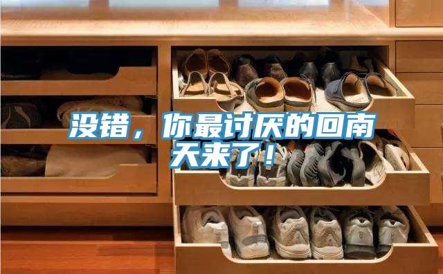 沒錯，你最討厭的回南天來了！