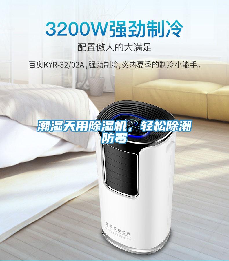 潮濕天用小黄片软件免费下载，輕鬆除潮防黴