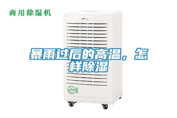 暴雨過後的高溫，怎樣除濕