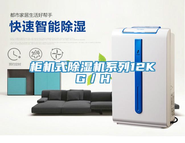 櫃機式小黄片软件免费下载係列12KG／H